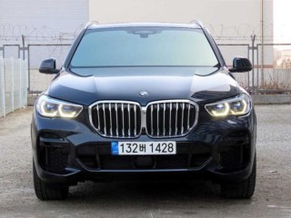 X5 (G05) xDrive 30d M 스포츠